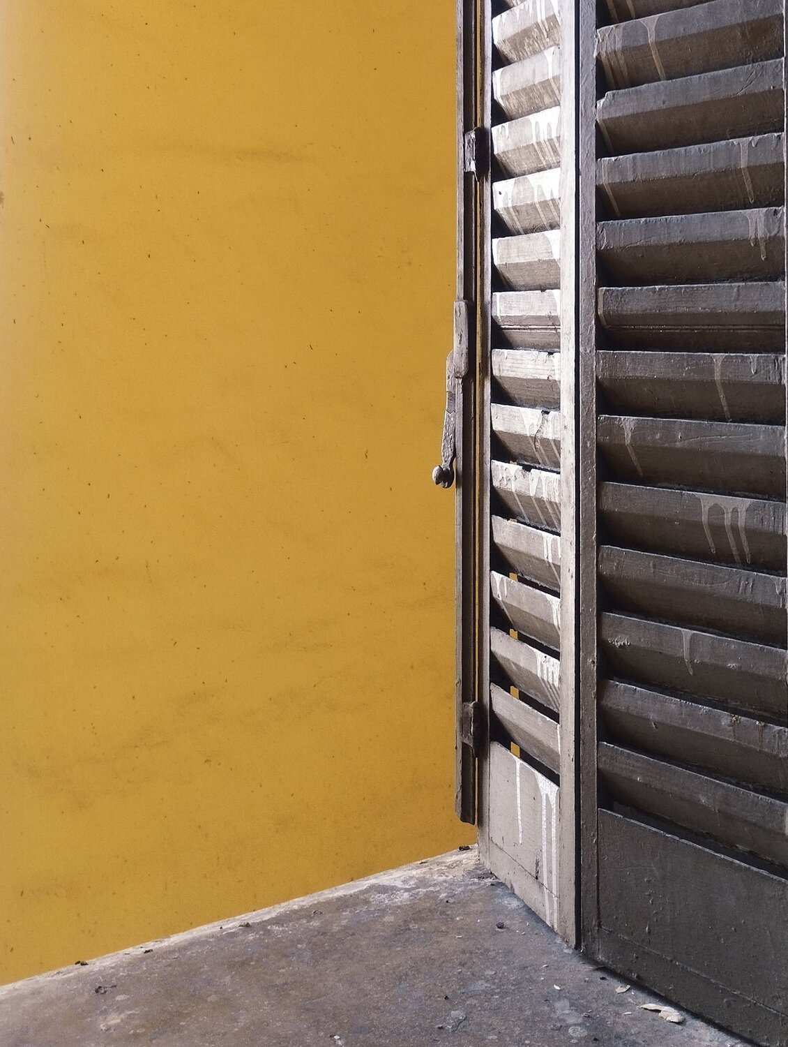 Photo #10755263