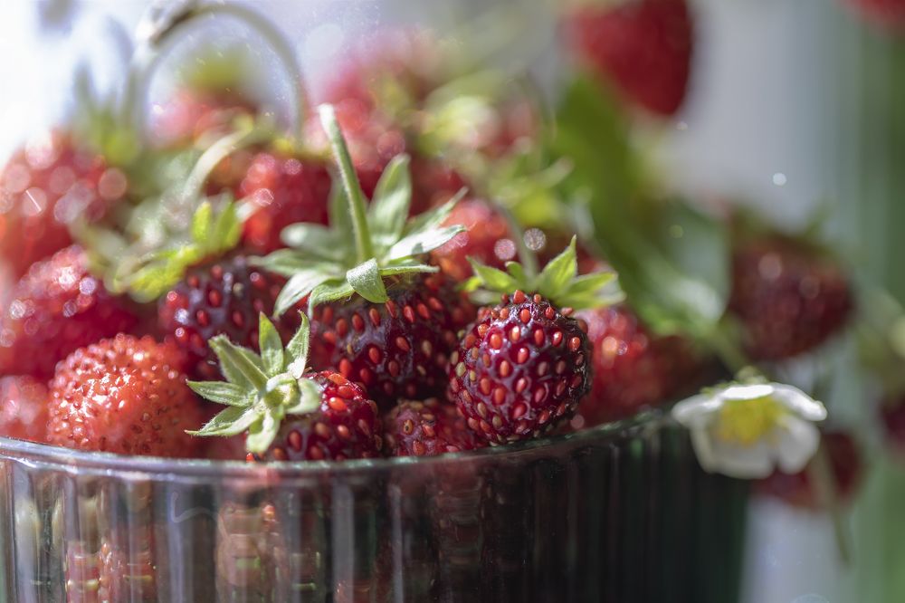 Photograph by Tatyana Fedenkova