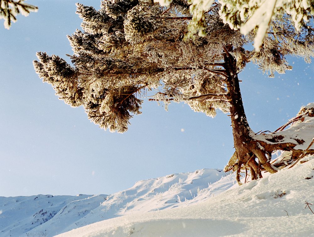 Photograph by TobolFoto Profii