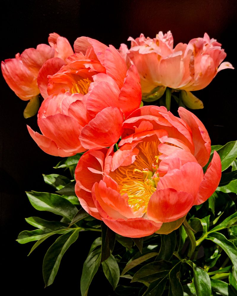 Photograph by Сергей Кесаев