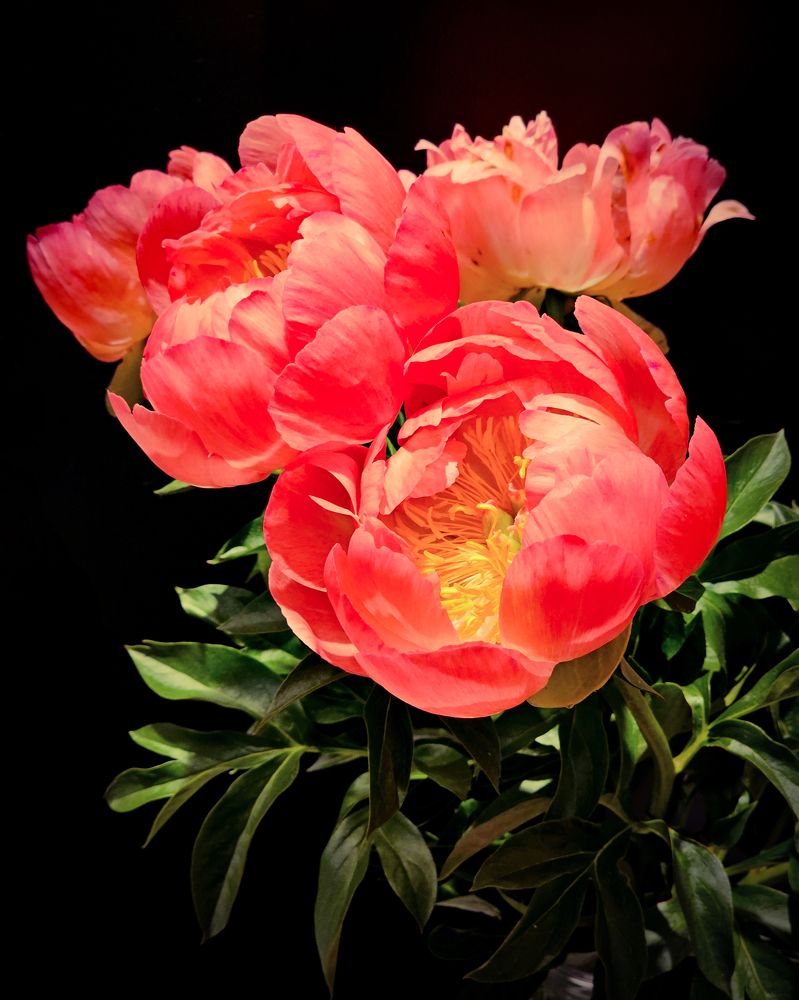 Photograph by Сергей Кесаев