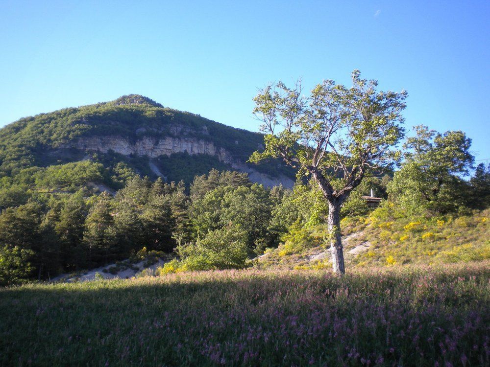 Photograph by Галина Петрушенко