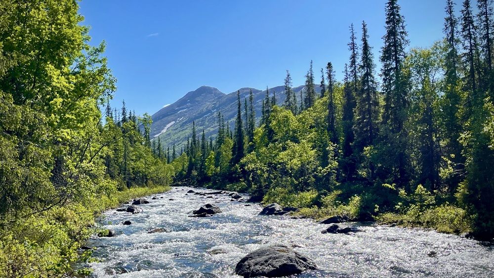 Фотография автора Юлия Шумейко