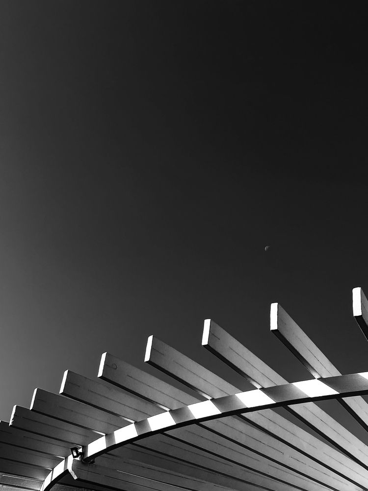 Photograph by Irina Manikova