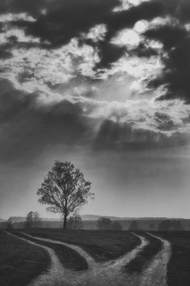 Photograph by Юлия Лушникова