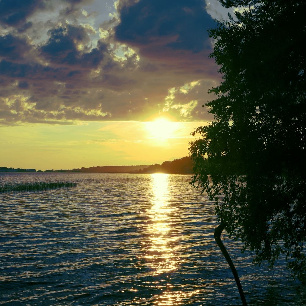 Photograph by Irina Alexandrova