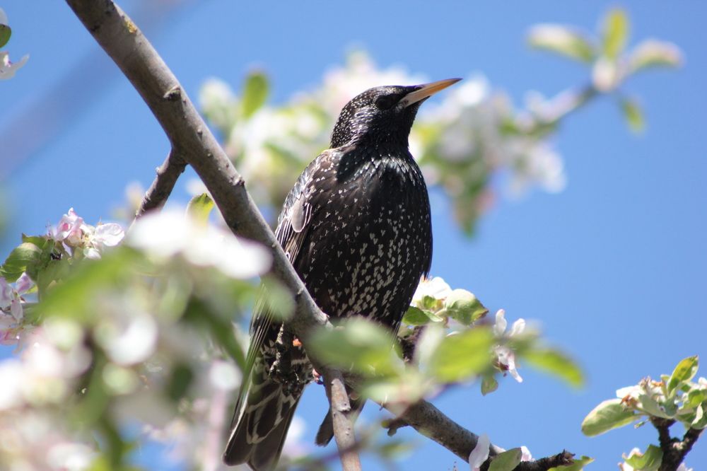 Photograph by Карманов Сергей