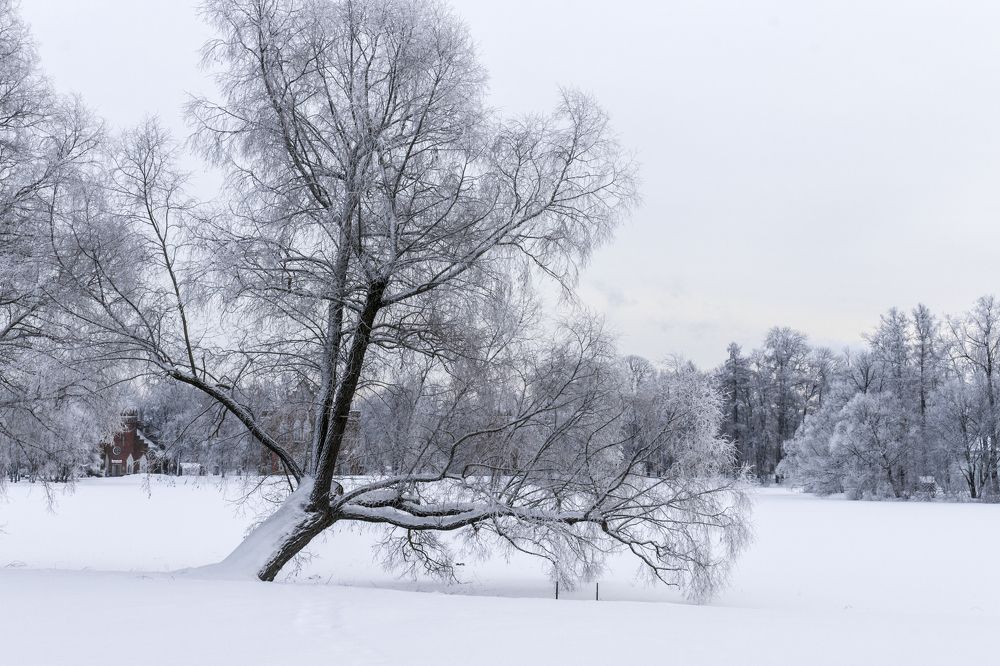 Photograph by Sergey Paramonov