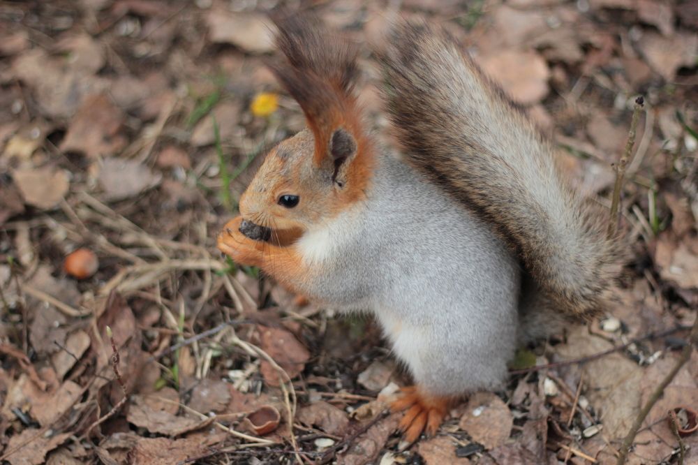 Photograph by Карманов Сергей