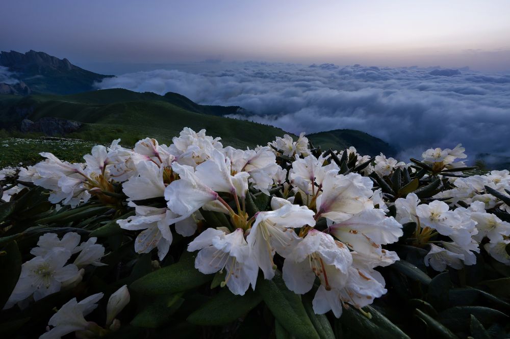 Photograph by Елена Вторушина