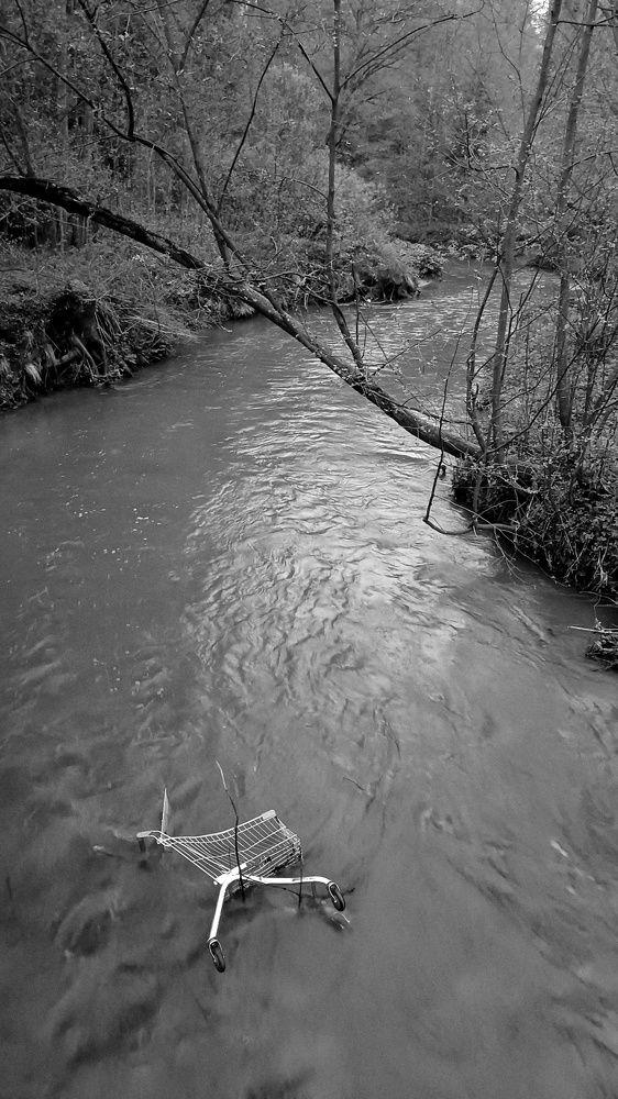 Фотография автора Денис Кулешов