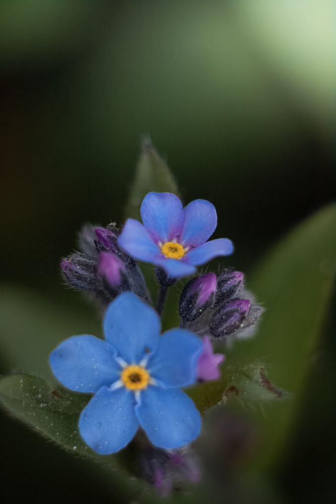 Photograph by Наталья Островцева