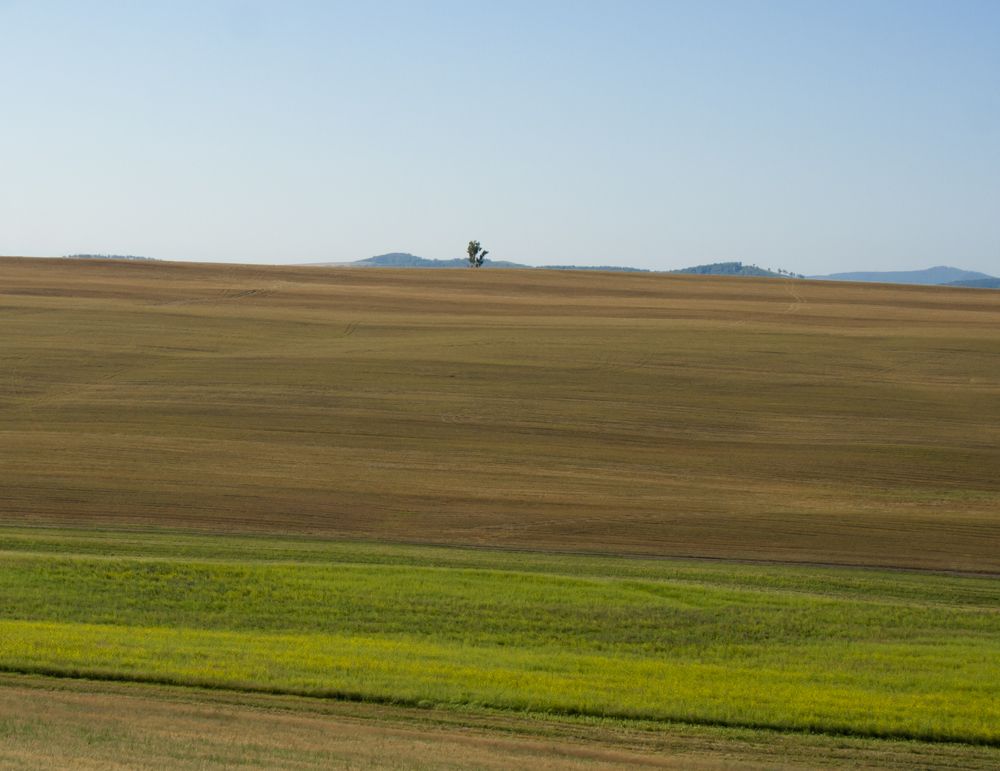 Photograph by Панюшкин Андрей