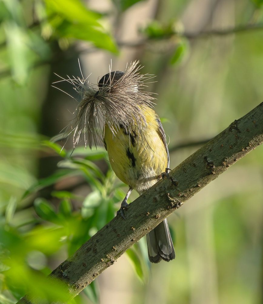 Photograph by Viktor Makarov