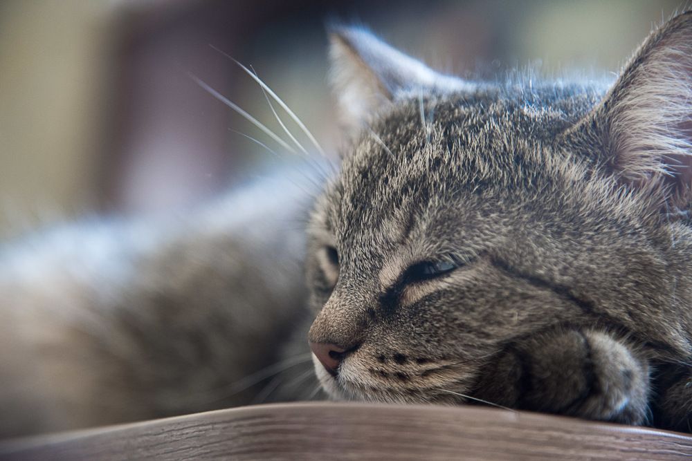 Photograph by Ирина Яук