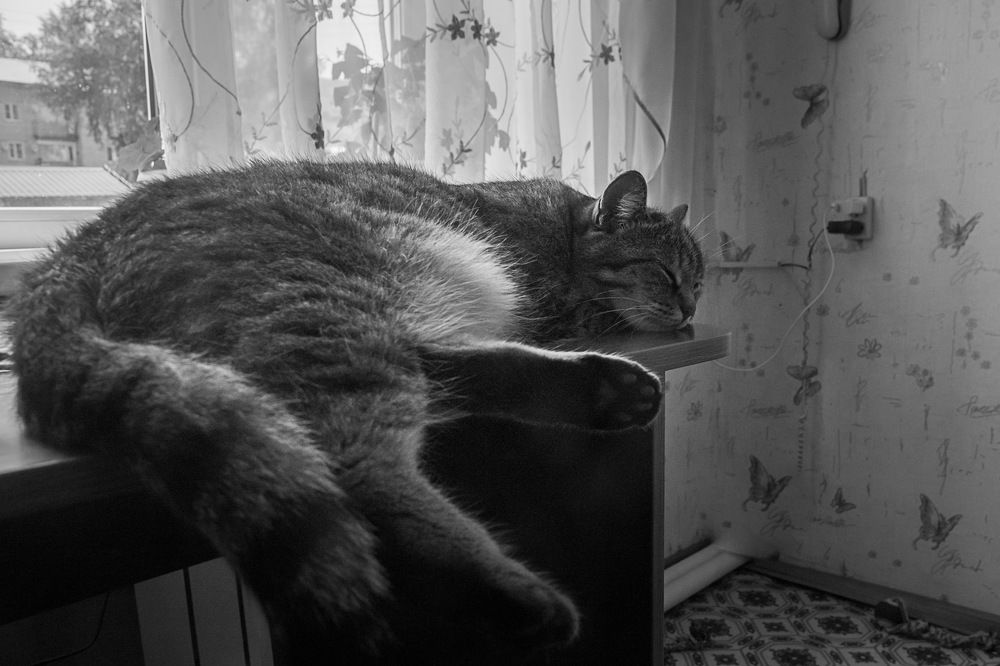 Photograph by Ирина Яук