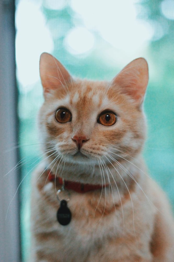 Photograph by Карманов Сергей