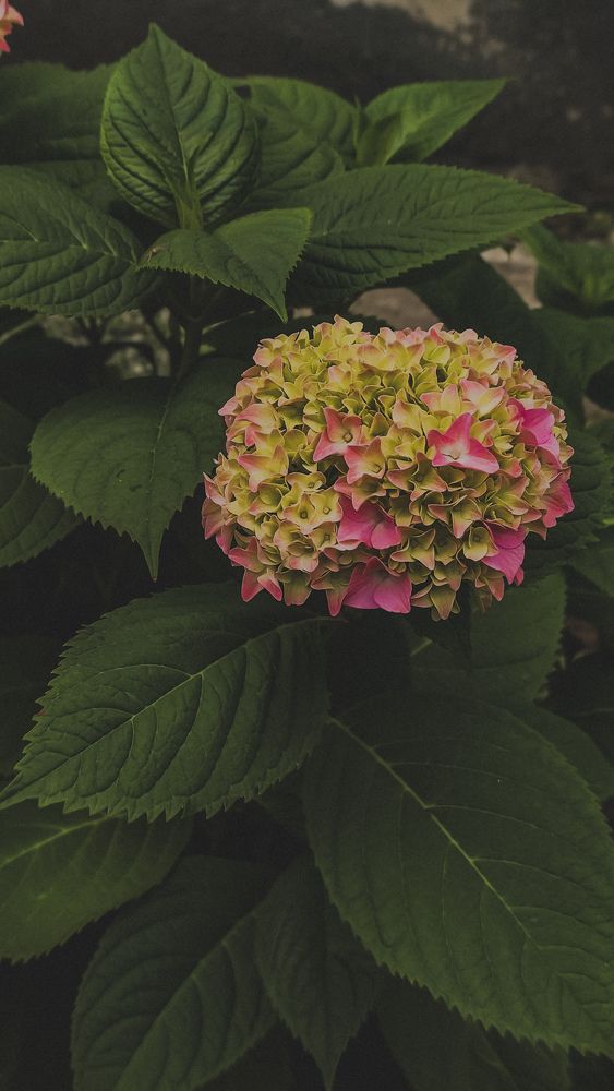 Photograph by Виктория Качан