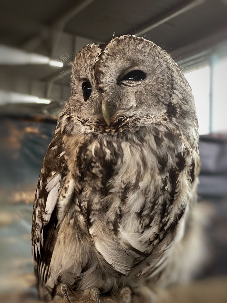 Фотография автора Лариса Гришкевич