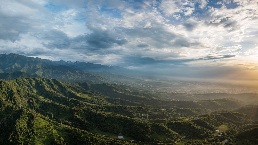 Фотография автора Роман Павлов