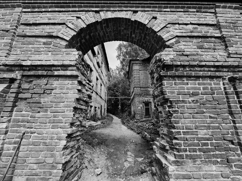 Photograph by Андрей Скрипниченко