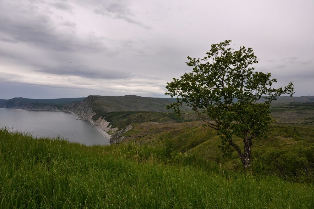 Photograph by Евгений Захаров