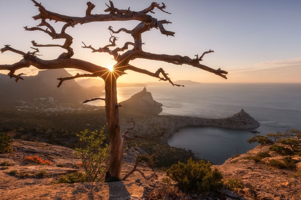 Photograph by Дмитренко Екатерина