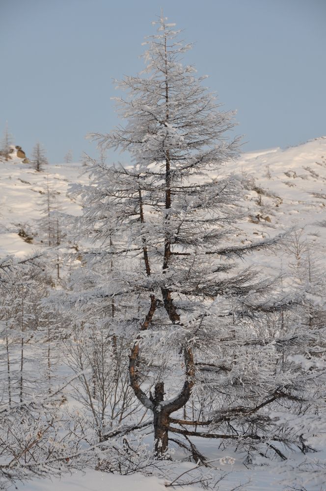Photograph by Евгений Захаров