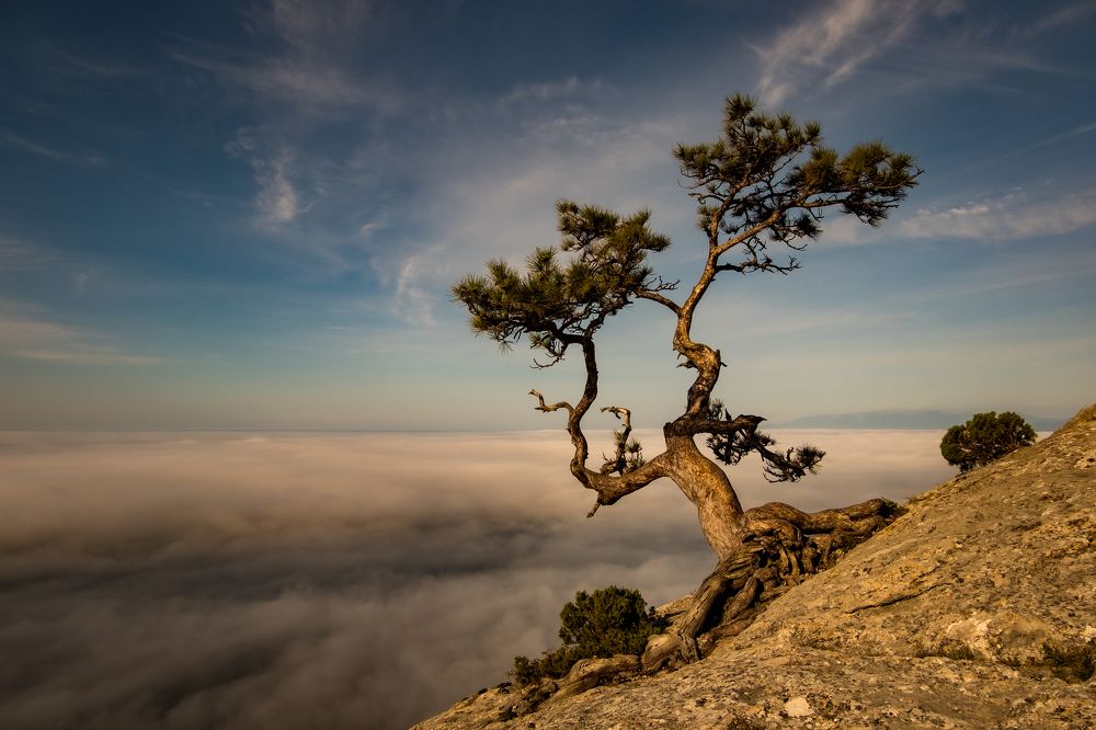 Photograph by Александр Разумов