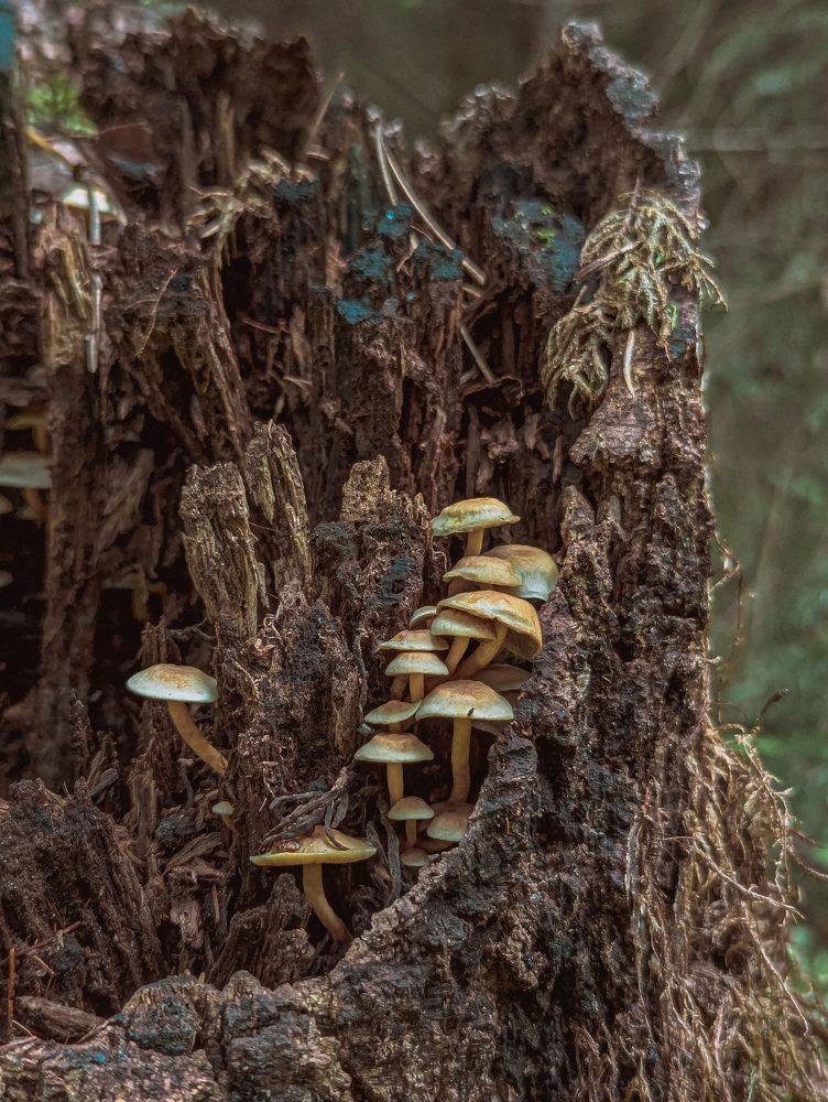 Фотография автора Юлия Дударёнок