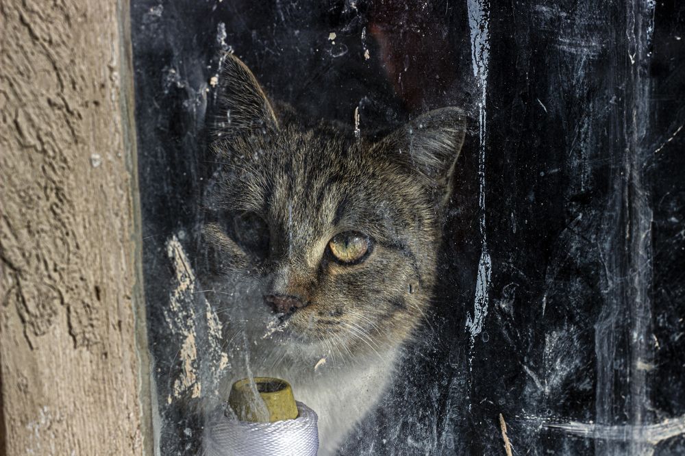 Photograph by Munkh Photography