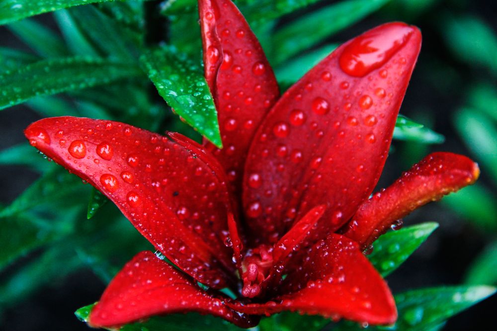 Фотография автора Наталия Мащенко