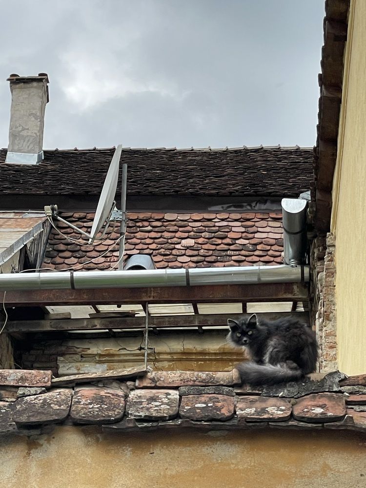 Photograph by Svetlana Kuzmenko