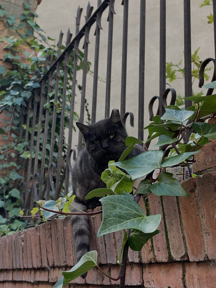 Photograph by Svetlana Kuzmenko