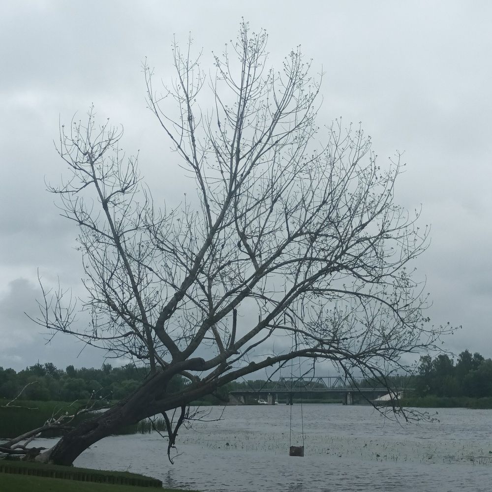 Фотография автора Maks Lanister