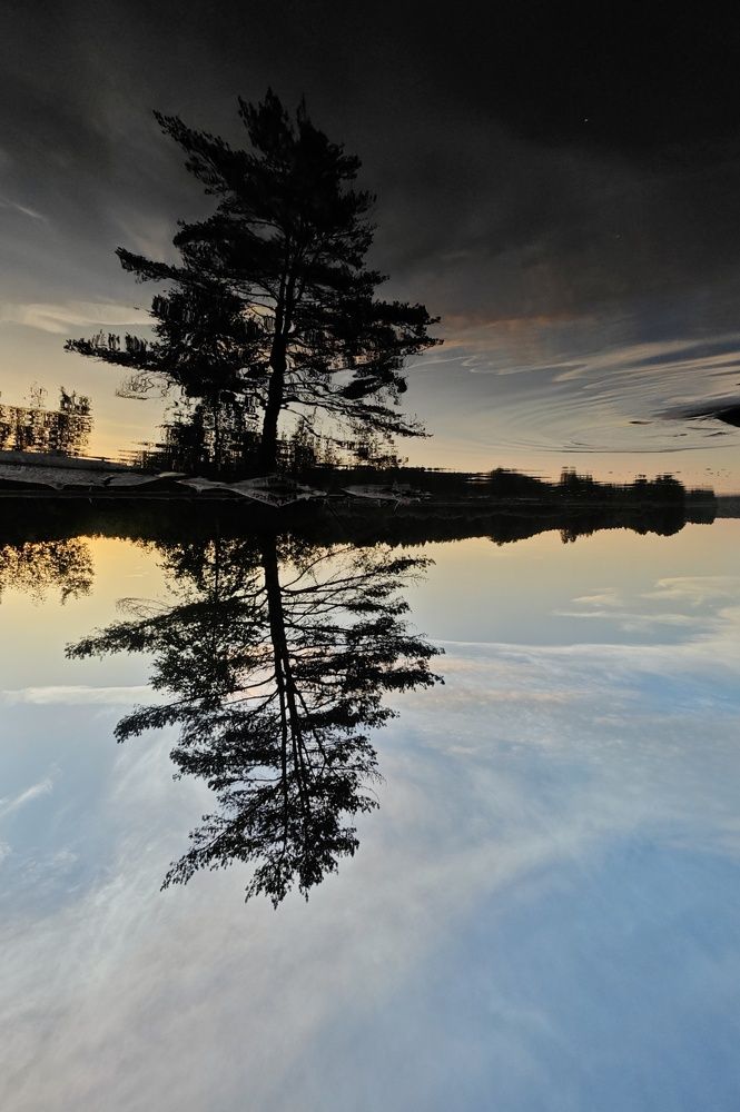 Photograph by Анастасия Филатова