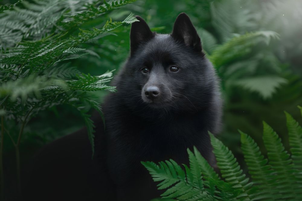 Photograph by Светлана Писарева