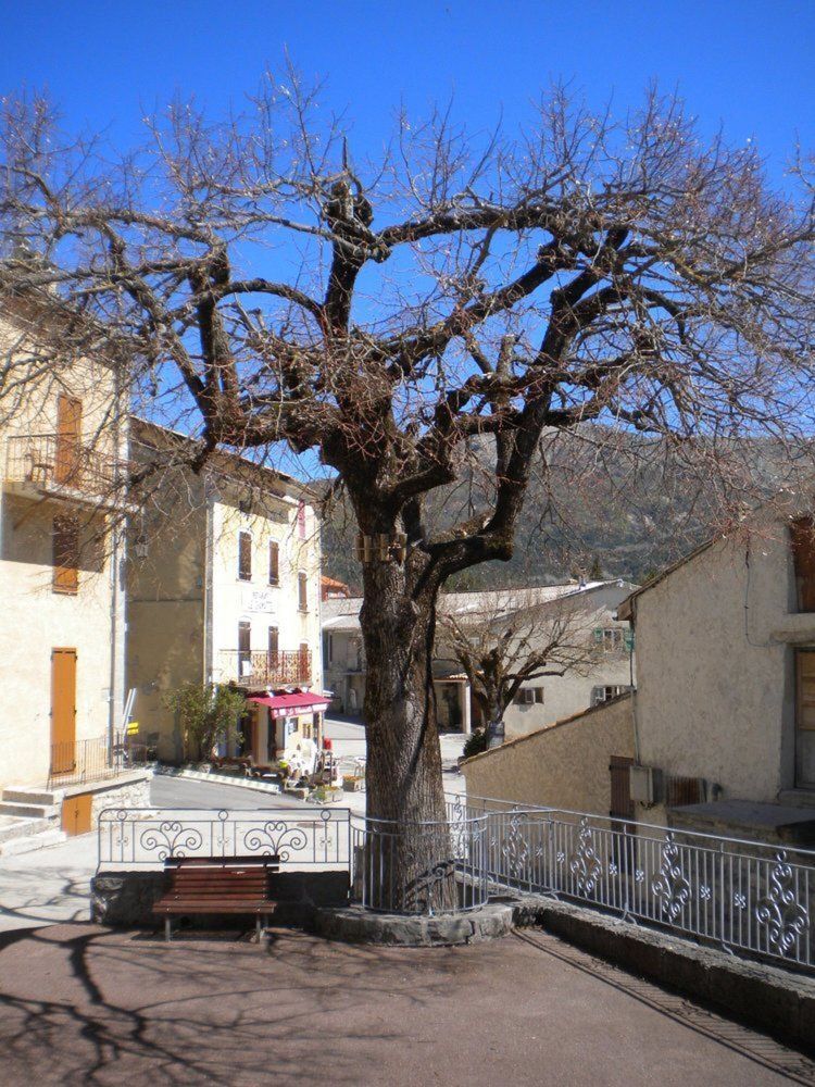 Photograph by Галина Петрушенко