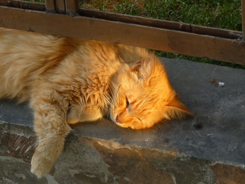 Photograph by Файзи Журакулов
