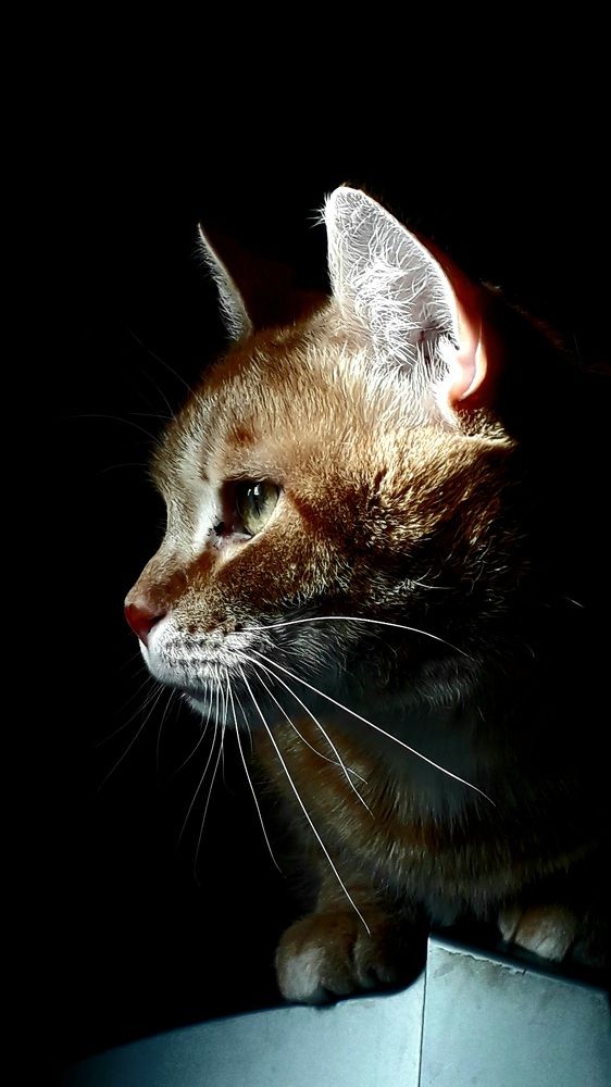 Photograph by Татьяна Солтан