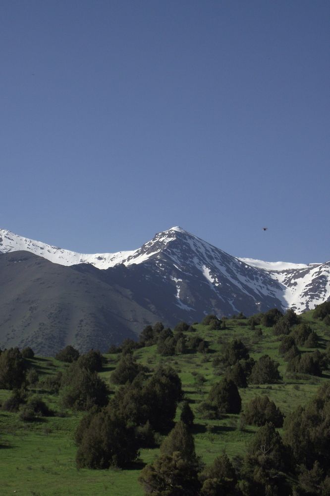 Photo #10755776