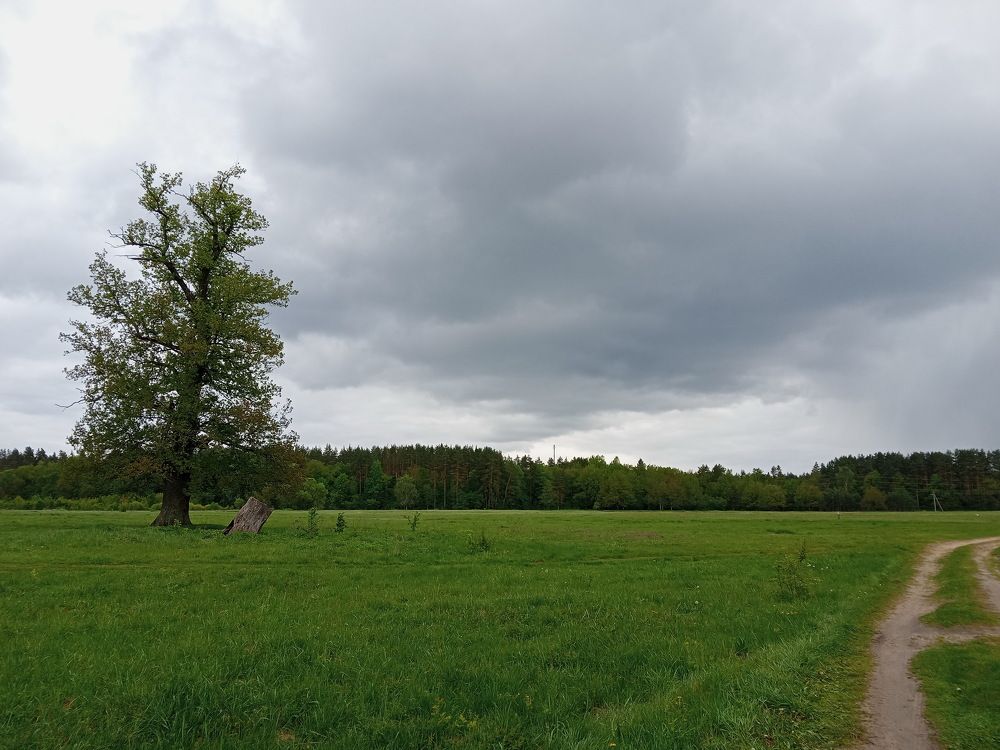 Photograph by Александр Гришин