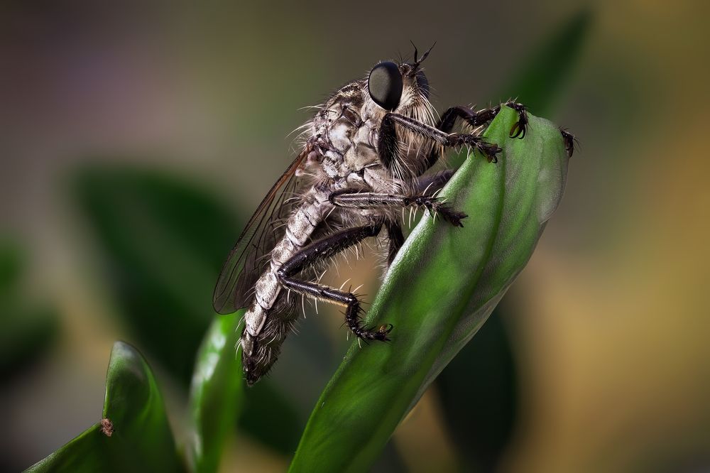 Фотография автора Роман Сергеевич