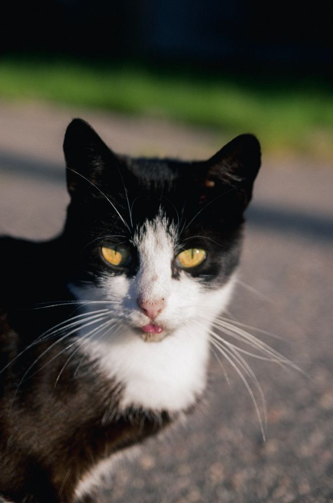 Photograph by Артём Серегин