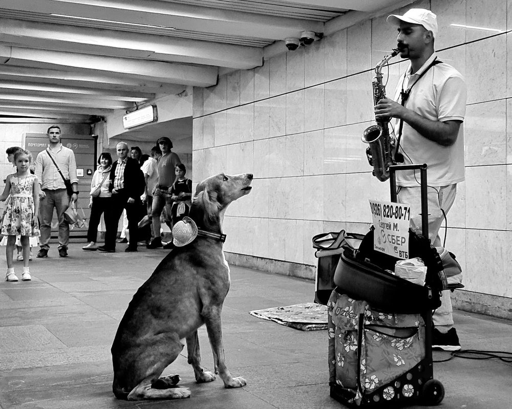 Photograph by Асад Ибадов