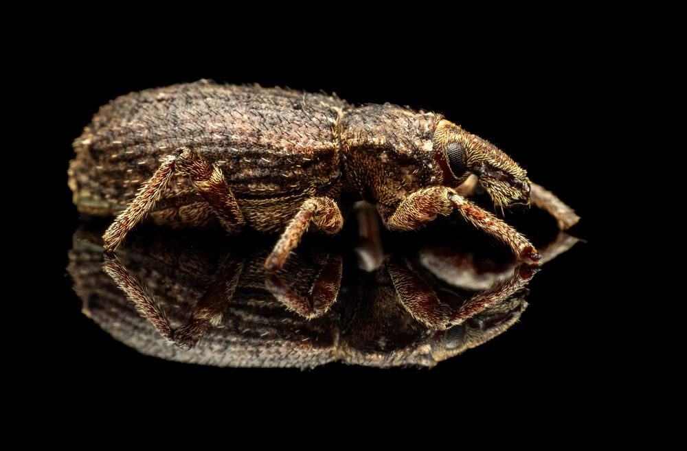 Photograph by Talha Maqsood