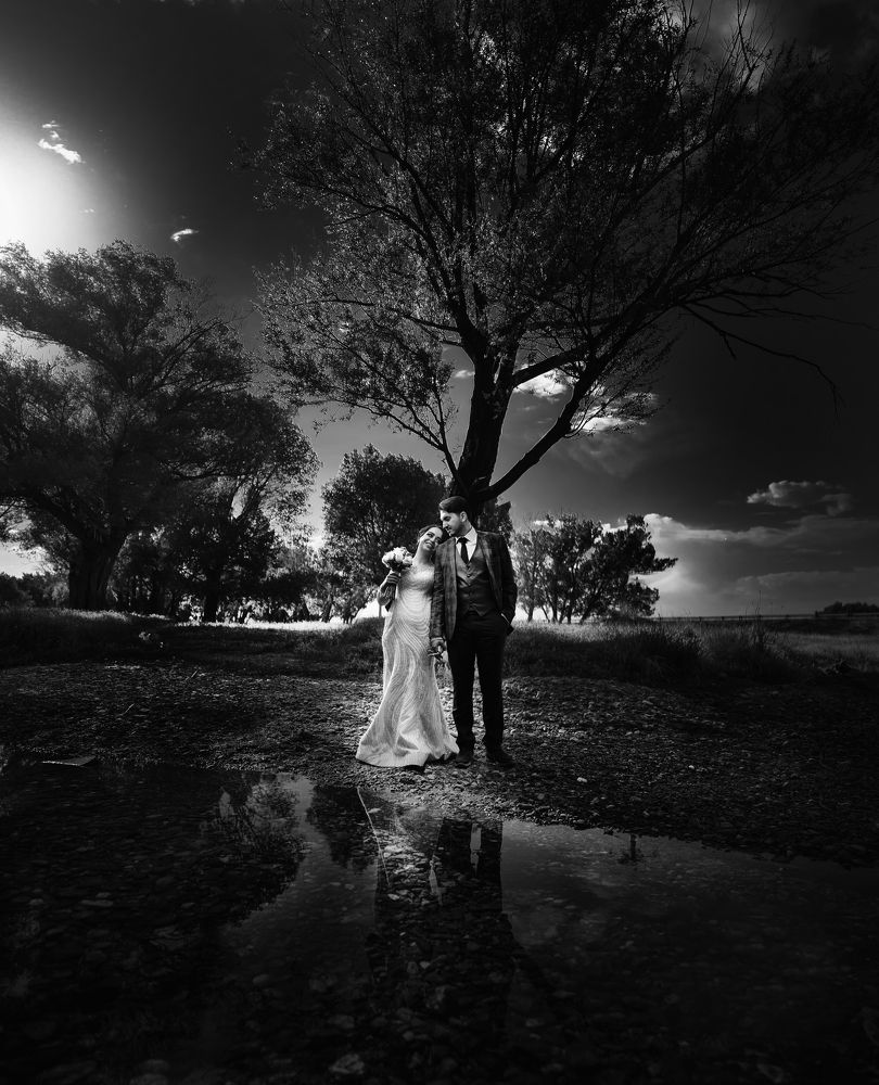 Photograph by Mohammad Hassan Naserolmemar