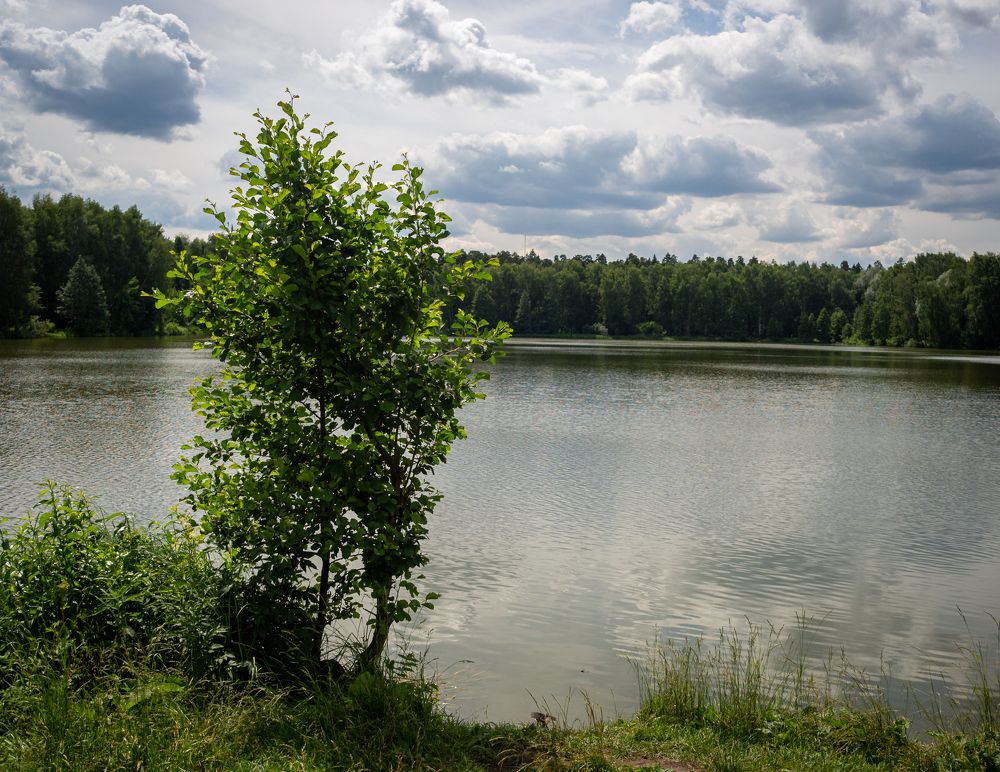 Фотография автора 