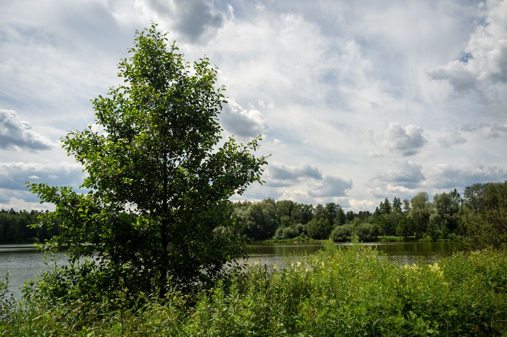 Фотография автора 