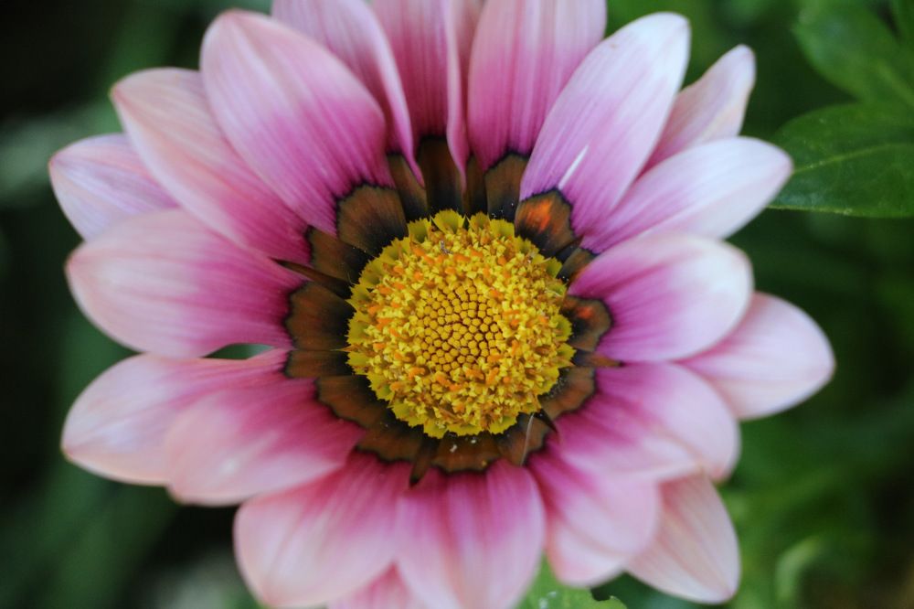 Photograph by Cengiz Yalcin